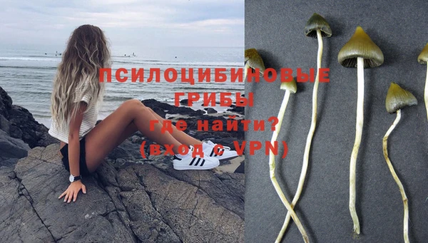 твердый Балабаново