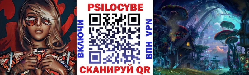как найти   Власиха  Галлюциногенные грибы Psilocybine cubensis 